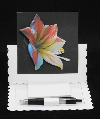 Winter - Amerillys - Decoupage + Insert & Tag by Joan Prince