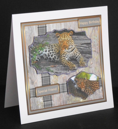 The Leopards by Joan Prince