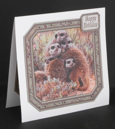 JJ GROUP HUG MEERKATS 8X8 by Joan Prince