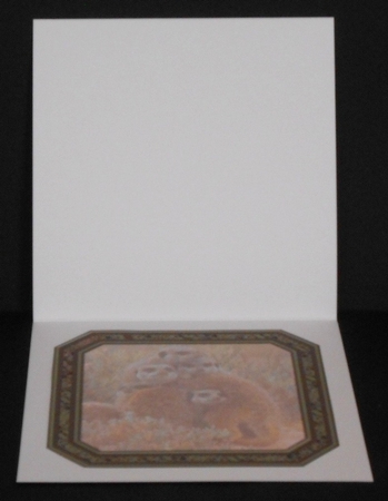 JJ GROUP HUG MEERKATS 8X8 INSERT BLANK by Joan Prince