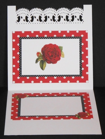 pretty red polkadot/stripe shoes with red roses A5 Insert by Joan Prince