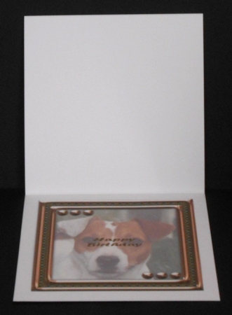  JJ LOVE MY DOG JACK RUSSELL 8X8 INSERT HAPPY BIRTHDAY by Joan Prince