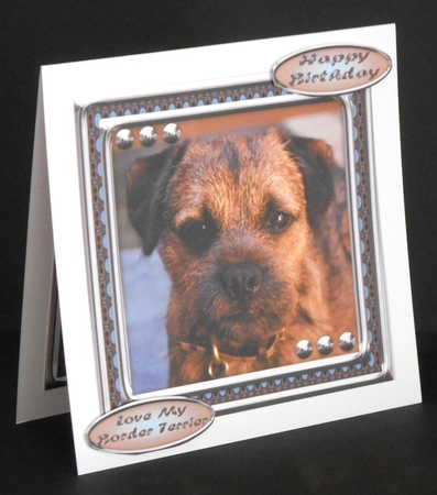  JJ LOVE MY DOG BORDER TERRIER 8X8 by Joan Prince