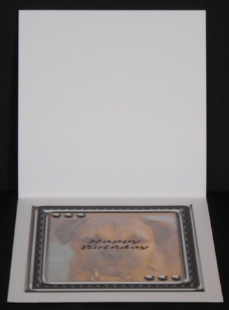 JJ LOVE MY DOG BORDER TERRIER 8X8 INSERT HAPPY BIRTHDAY. by Joan Prince