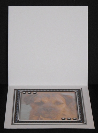 JJ LOVE MY DOG BORDER TERRIER 8X8 INSERT BLANK. by Joan Prince