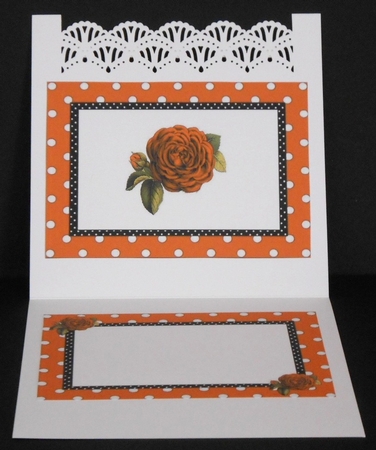 pretty gold polkadot/stripe shoes with gold roses A5 Insert by Joan Prince