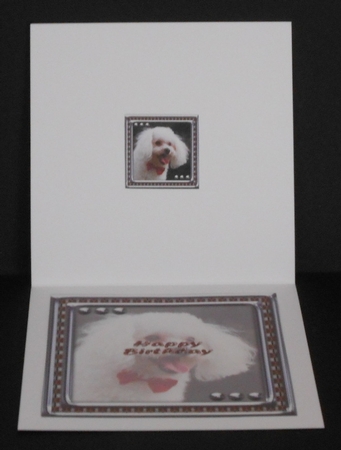  JJ LOVE MY DOG POODLE 8X8 INSERT HAPPY BIRTHDAY by Joan Prince