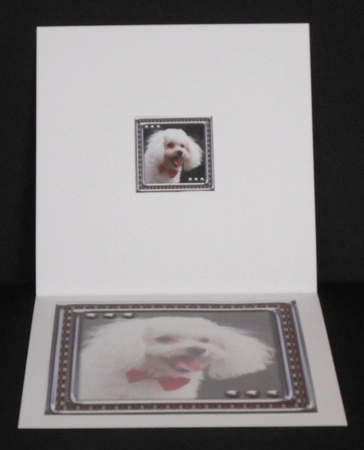 JJ LOVE MY DOG POODLE 8X8 INSERT BLANK by Joan Prince