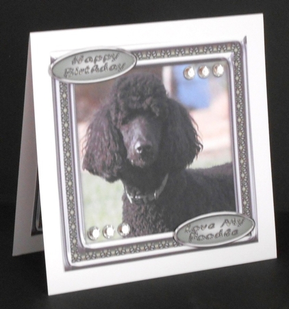 JJ LOVE MY DOG POODLE 2 8X8 by Joan Prince