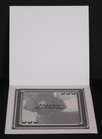 JJ LOVE MY DOG POODLE 2 8X8 INSERT HAPPY BIRTHDAY by Joan Prince