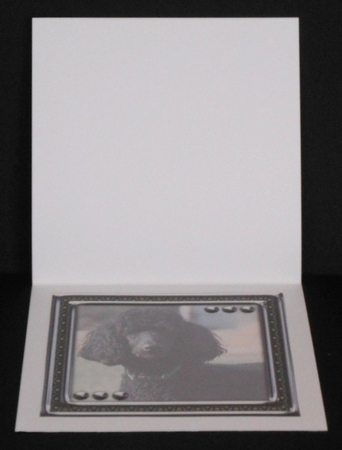 JJ LOVE MY DOG POODLE 2 8X8 INSERT BLANK by Joan Prince