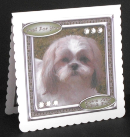 JJ LOVE MY DOG SHIH TZU 8X8 by Joan Prince