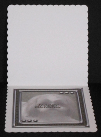 JJ LOVE MY DOG SHIH TZU 8X8 INSERT HAPPY BIRTHDAY by Joan Prince