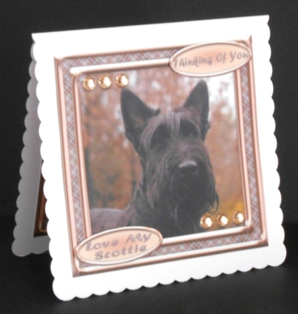 JJ LOVE MY DOG SCOTTISH TERRIER 8X8 by Joan Prince