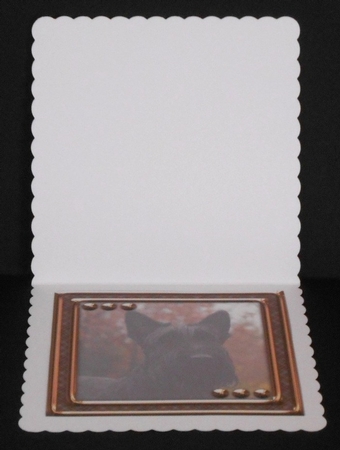  JJ LOVE MY DOG SCOTTISH TERRIER 8X8 INSERT BLANK by Joan Prince