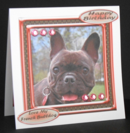 JJ LOVE MY DOG FRENCH BULLDOG 8X8 by Joan Prince