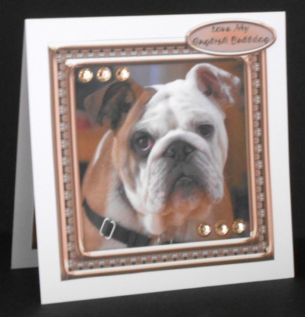 JJ LOVE MY DOG ENGLISH BULLDOG 8x8 by Joan Prince