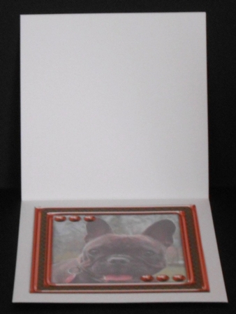  JJ LOVE MY DOG FRENCH BULLDOG 8X8 INSERT BLANK by Joan Prince