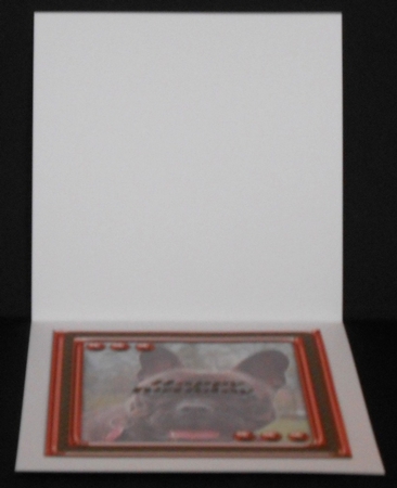  JJ LOVE MY DOG FRENCH BULLDOG 8X8 INSERT HAPPY BIRTHDAY by Joan Prince