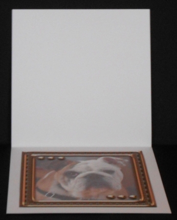 JJ LOVE MY DOG ENGLISH BULLDOG INSERT BLANK by Joan Prince