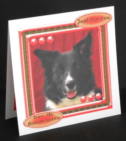 JJ LOVE MY DOG BORDER COLLIE 2 8X8 by Joan Prince