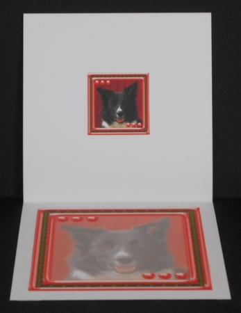  JJ LOVE MY DOG BORDER COLLIE 2 8X8 NSERT BLANK by Joan Prince