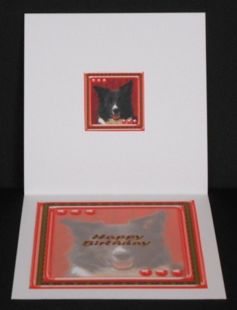 JJ LOVE MY DOG BORDER COLLIE 2 8X8 NSERT HAPPY BIRTHDAY by Joan Prince