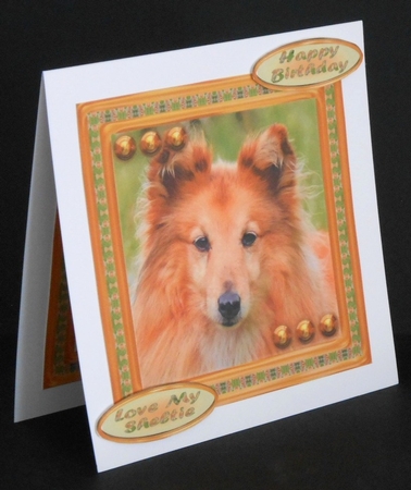JJ LOVE MY SHETLAND SHEEPDOG OR SHELTIE 8X8 by Joan Prince