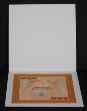  JJ LOVE MY SHETLAND SHEEPDOG OR SHELTIE 8X8 INSERT HAPPY BIRTHDAY by Joan Prince