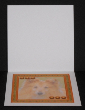  JJ LOVE MY SHETLAND SHEEPDOG OR SHELTIE 8X8 INSERT BLANK by Joan Prince