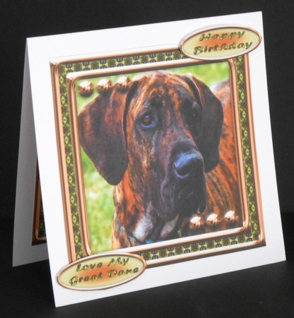 JJ LOVE MY DOG GREAT DANE 8X8 by Joan Prince