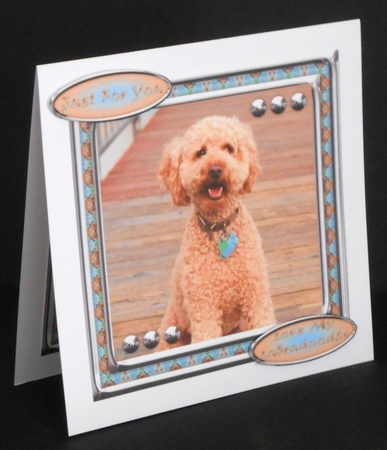 JJ LOVE MY DOG LABRADOODLE 8X8 by Joan Prince