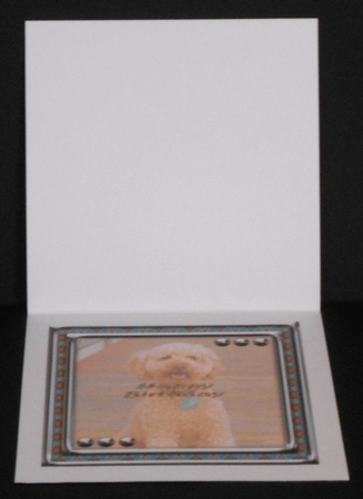 JJ LOVE MY DOG LABRADOODLE 8X8 INSERT HAPPY BIRTHDAY by Joan Prince