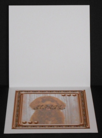  JJ LOVE MY DOG LABRADOODLE 2 8X8 INSERT HAPPY BIRTHDAY by Joan Prince