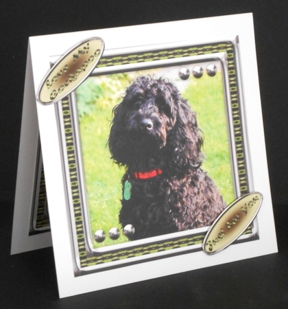 JJ LOVE MY DOG COCKAPOO 2 8X8 by Joan Prince