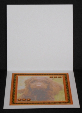 JJ LOVE MY DOG COCKAPOO 8X8 INSERT BLANK by Joan Prince