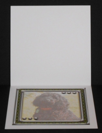 JJ LOVE MY DOG COCKAPOO 2 8X8 INSERT BLANK by Joan Prince
