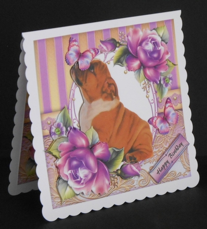 Gorgeous British Bull Dog With Purple Roses 8x8 Mini Kit by Joan Prince