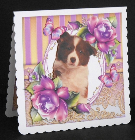 Beautiful Brown Border Collie With Purple Roses 8x8 Mini Kit by Joan Prince