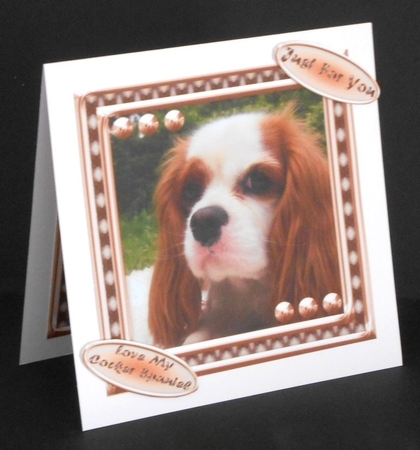 JJ LOVE MY DOG COCKER SPANIEL 2 8X8 by Joan Prince