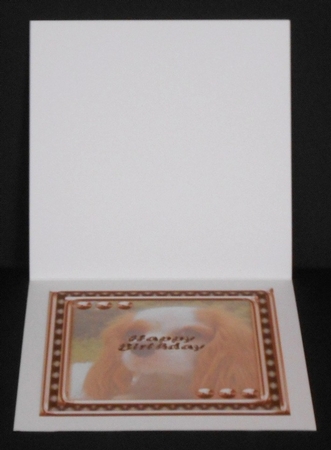 JJ LOVE MY DOG COCKER SPANIEL 2 8X8 INSERT HAPPY BIRTHDAY by Joan Prince