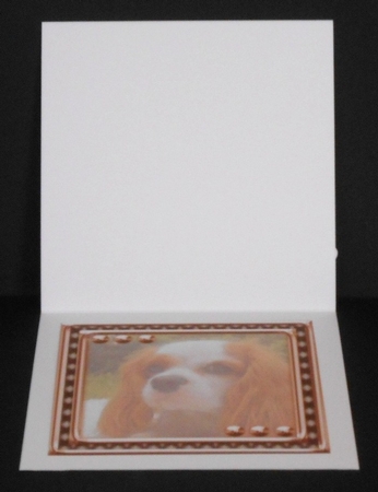 JJ LOVE MY DOG COCKER SPANIEL 2 8X8 INSERT BLANK by Joan Prince