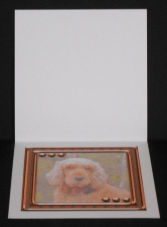 JJ LOVE MY DOG COCKER SPANIEL 1 8X8 INSERT BLANK Featured Gallery Photo