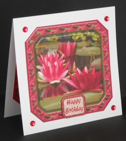 JJ WATER LILIES 8X8 by Joan Prince