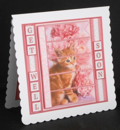 KITTEN & FLORALS 7.5 Alphabet and Age Quick Card Kit Create Any Name by Joan Prince