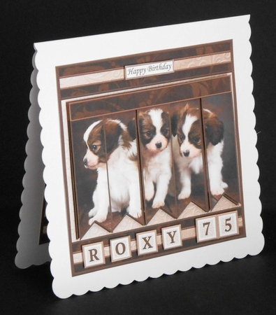PUPPIES 7.5 Alphabet and Age Quick Card Kit Create Any Name by Joan Prince