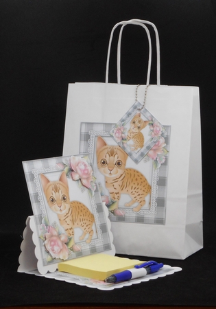 Cats & Dogs Bumper Kit by Joan Prince