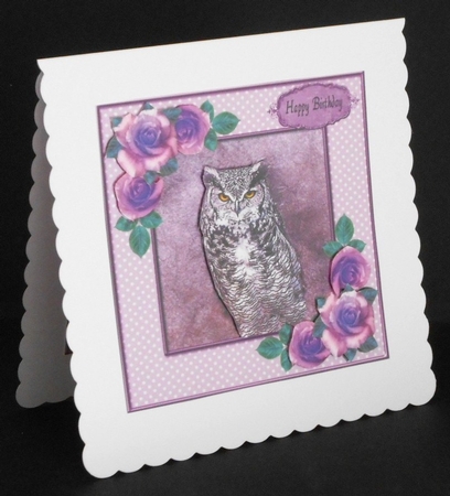 Beautiful Owl by Joan Prince