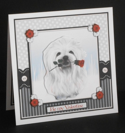 White dog, red rose by Joan Prince