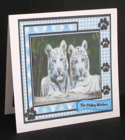 Beautiful White Tigers  by Joan Prince